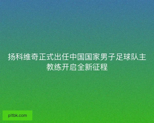 扬科维奇正式出任中国国家男子足球队主教练开启全新征程